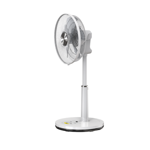 FL-12113DRR 12 Inch Living Fan 2