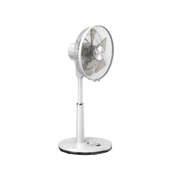 FL-12106DR 12 Inch Living Fan 3