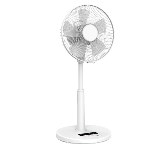 FL-12134DR 洋和扇 3