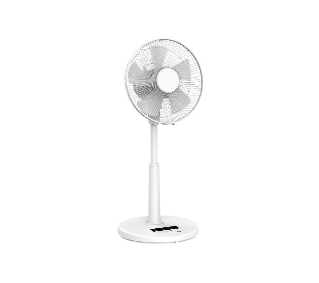 FL-12134DRR Living Fan 3
