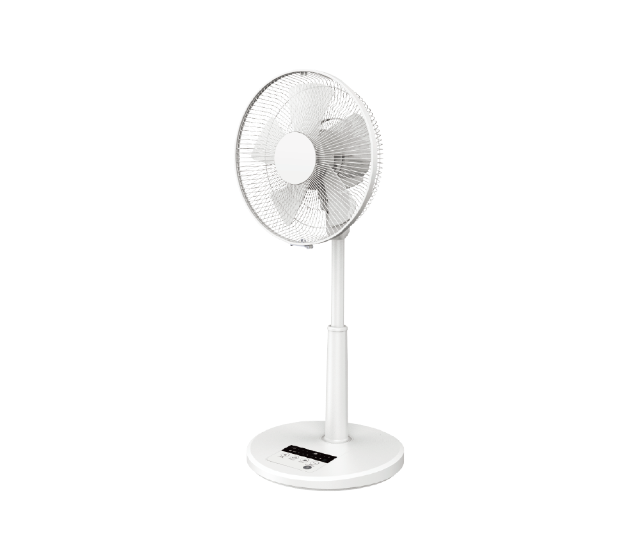FL-12134DRR Living Fan 2