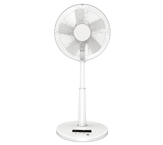 FL-12134DRR 洋和扇