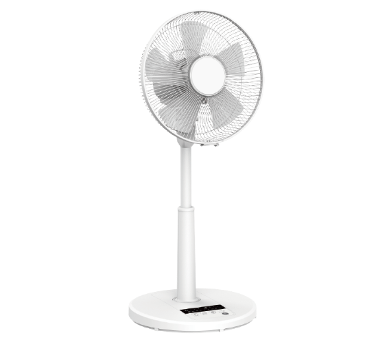 FL-12134DRR 洋和扇 3